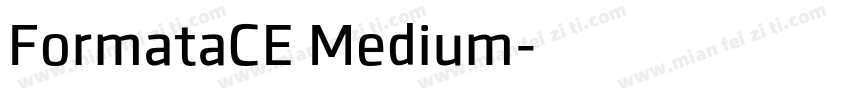 FormataCE Medium字体转换